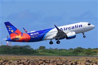 �Miguel A. �gueda Rguez.  (CANARY ISLANDS SPOTTING). Click to see full size photo