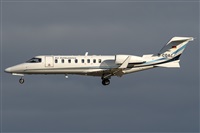 �Adolfo Bento - Gran Canaria Spotters. Click to see full size photo