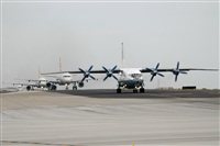 Marcos.A.S.A.Canary Islands Spotting. Click to see full size photo
