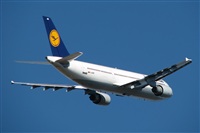 Rodrigo Carvalho - Noisy Spotters. Click to see full size photo