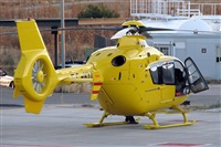 La Roche Spotters. Click to see full size photo