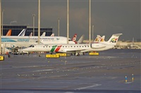 Jos Miguel Bernases - Noisy Spotters. Click to see full size photo