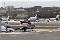 La Roche Spotters. Click to see full size photo