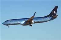 Miguel A. gueda Rguez.  (CANARY ISLANDS SPOTTING). Click to see full size photo