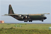 Rui Marques - Portugalspotters.org. Click to see full size photo
