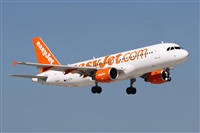 Alfonso Sols - Asociacin Canary Islands Spotting. Click to see full size photo