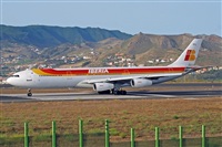 Miguel A. gueda Rguez.  (CANARY ISLANDS SPOTTING). Click to see full size photo