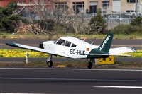 Nacho Rodriguez - Canary Islands Spotting. Click to see full size photo