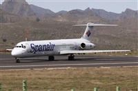 ©Alfonso Solís - Asociación Canary Islands Spotting. Click to see full size photo ©Alfonso Solís - Asociación Canary Islands Spotting. Click to see full size photo