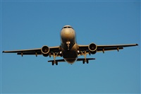Ana L@dy Spotter. Click to see full size photo