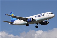 Alfonso Sols - Asociacin Canary Islands Spotting. Haz click para ampliar