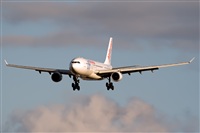Javier de la Cruz - CANARY ISLANDS SPOTTING. Click to see full size photo