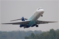 Rodrigo Carvalho - Noisy Spotters. Click to see full size photo