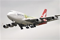 Rubn Gil - Noisy Spotters. Click to see full size photo