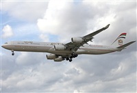 Jos Miguel Bernases - Noisy Spotters. Click to see full size photo
