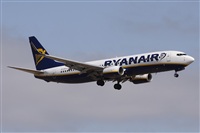 Alfonso Sols - Asociacin Canary Islands Spotting. Haz click para ampliar