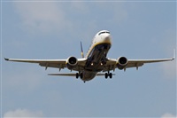 ©Ismael -Costa del Sol Spotters- (Fuengirola). Click to see full size photo ©Ismael -Costa del Sol Spotters- (Fuengirola). Click to see full size photo
