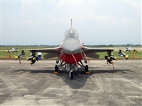 Oswaldo Monterola Mejas - Aviamil. Click to see full size photo