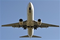 LEBL Spotter. Haz click para ampliar