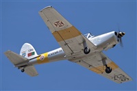Rui Alves - Madeira Spotters. Click to see full size photo