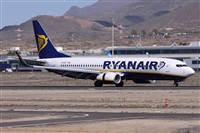Alfonso Sols - Asociacin Canary Islands Spotting. Click to see full size photo