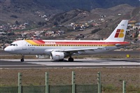 ©Alfonso Solís - Asociación Canary Islands Spotting. Click to see full size photo ©Alfonso Solís - Asociación Canary Islands Spotting. Click to see full size photo