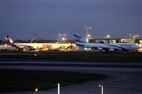 Miguel Martin Cordeiro - Iberian Spotters. Click to see full size photo