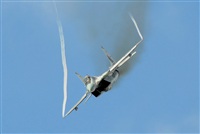 Tams. Click to see full size photo