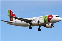 Rubn Gil - Noisy Spotters. Click to see full size photo
