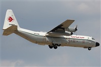 Rodrigo Carvalho - Noisy Spotters. Click to see full size photo