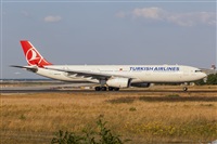 Javier de la Cruz - CANARY ISLANDS SPOTTING. Click to see full size photo
