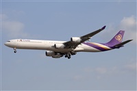 Miguel Alia - Noisy Spotters. Click to see full size photo