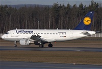 Miguel Alia - Noisy Spotters. Click to see full size photo