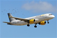 LEBL Spotter. Click to see full size photo