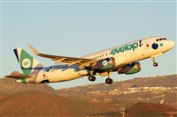 Saimon J Rodriguez   -   Canary Islands Spotting. Click to see full size photo