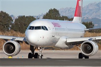 Miguel Alia - Noisy Spotters. Click to see full size photo