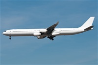 norber. Click to see full size photo