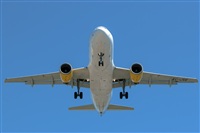 Bartolom Fernndez - Gran Canaria Spotters. Click to see full size photo