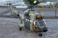 Daniel Santos Batista - Canary Islands Spotting. Haz click para ampliar