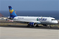 ©Alfonso Solís - Asociación Canary Islands Spotting. Click to see full size photo ©Alfonso Solís - Asociación Canary Islands Spotting. Click to see full size photo