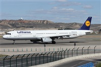 ©Alfonso Solís - Asociación Canary Islands Spotting. Click to see full size photo ©Alfonso Solís - Asociación Canary Islands Spotting. Click to see full size photo