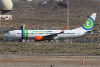 ©Alfonso Solís - Asociación Canary Islands Spotting. Click to see full size photo ©Alfonso Solís - Asociación Canary Islands Spotting. Click to see full size photo