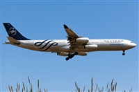 Javier de la Cruz - CANARY ISLANDS SPOTTING. Click to see full size photo