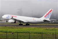Miguel A. gueda Rguez.  (CANARY ISLANDS SPOTTING). Haz click para ampliar