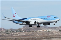 ©Alfonso Solís - Asociación Canary Islands Spotting. Click to see full size photo ©Alfonso Solís - Asociación Canary Islands Spotting. Click to see full size photo