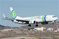 ©Alfonso Solís - Asociación Canary Islands Spotting. Click to see full size photo ©Alfonso Solís - Asociación Canary Islands Spotting. Click to see full size photo
