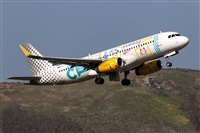 Javier de la Cruz - CANARY ISLANDS SPOTTING. Click to see full size photo