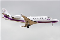 Paco Muoz Arencibia - Gran Canaria Spotters. Click to see full size photo