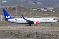 Saimon J Rodriguez   -   Canary Islands Spotting. Click to see full size photo