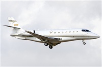 Paco Muoz Arencibia - Gran Canaria Spotters. Click to see full size photo